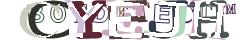 Retype the CAPTCHA code from the image