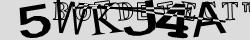 Retype the CAPTCHA code from the image