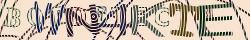 Retype the CAPTCHA code from the image