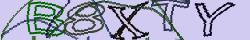 Retype the CAPTCHA code from the image
